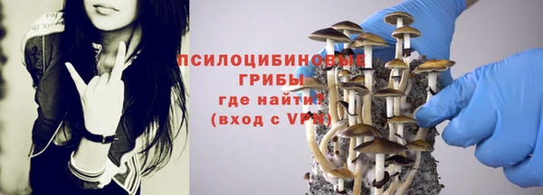 прущая мука Вязники