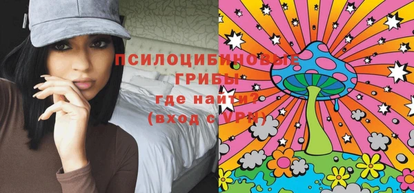 гидропоника Вяземский