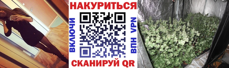 дарк нет состав  Черепаново  Бошки марихуана семена 